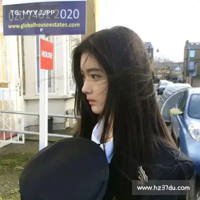 明贞梦